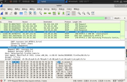網絡嗅探技術在信息安全實驗中的應用與軟件開發實踐